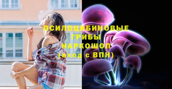таблы Горнозаводск