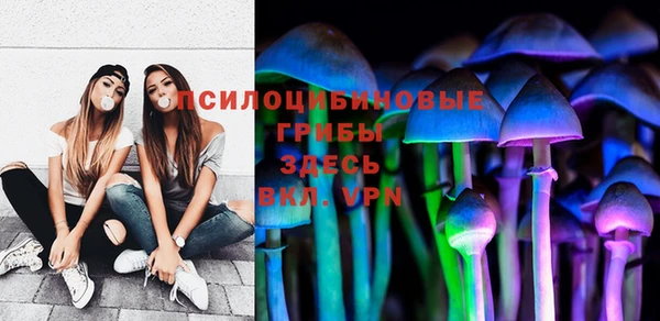таблы Горнозаводск