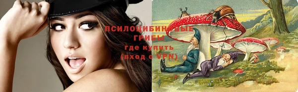 mdma Горняк